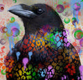 Rainbow Raven
