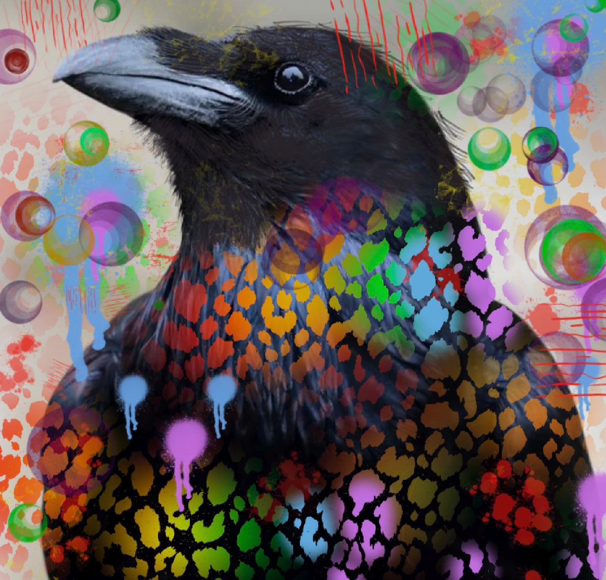 Rainbow Raven